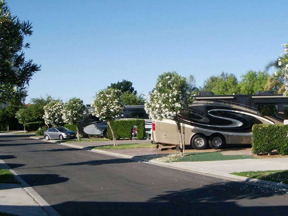 RVs parked in a row at THE LAKES RV & GOLF RESORT