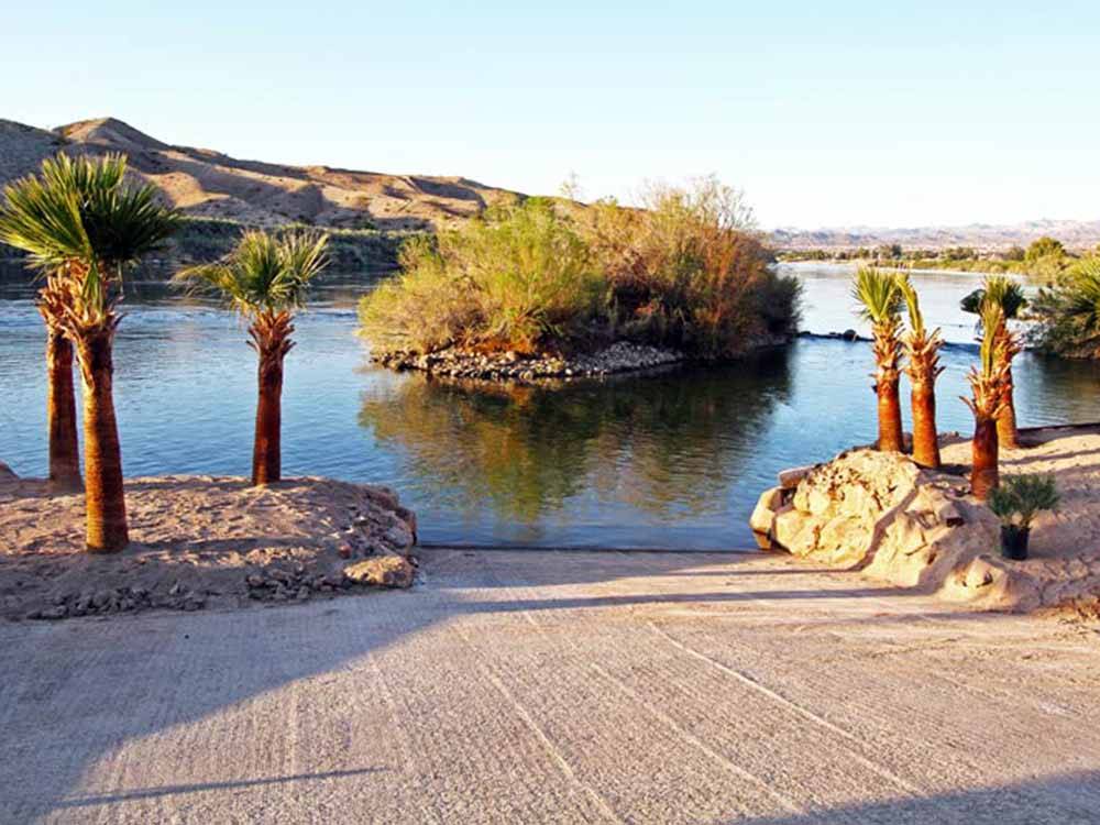 A boat ramp with palm trees at COLORADO RIVER OASIS RESORT