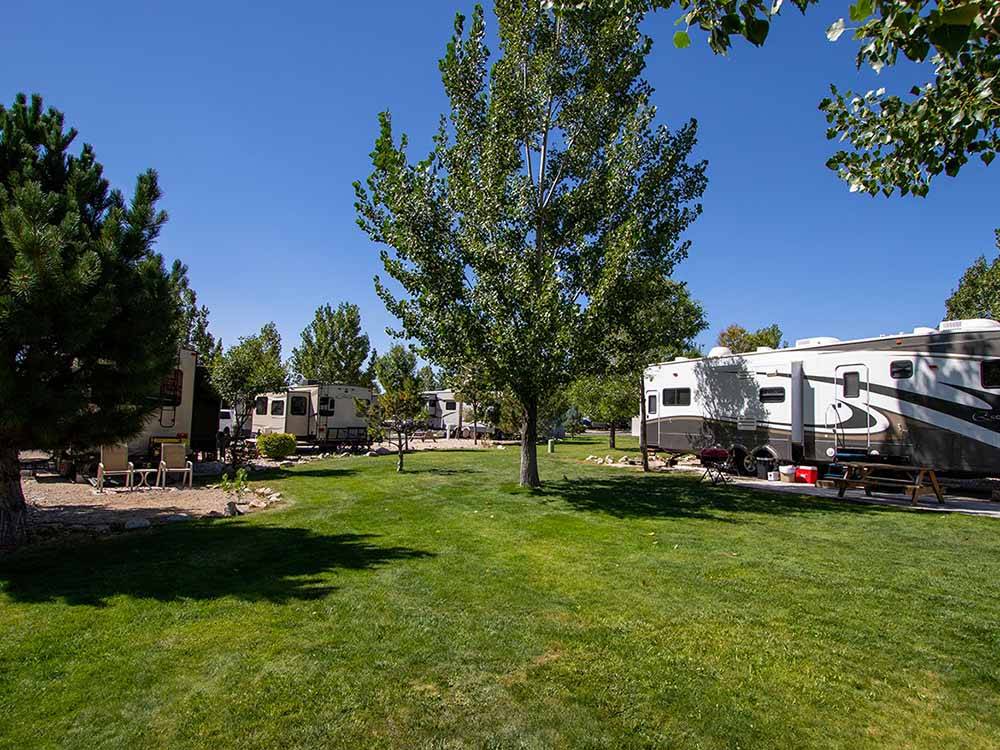 RV spots surrounded by trees at IRON HORSE RV RESORT