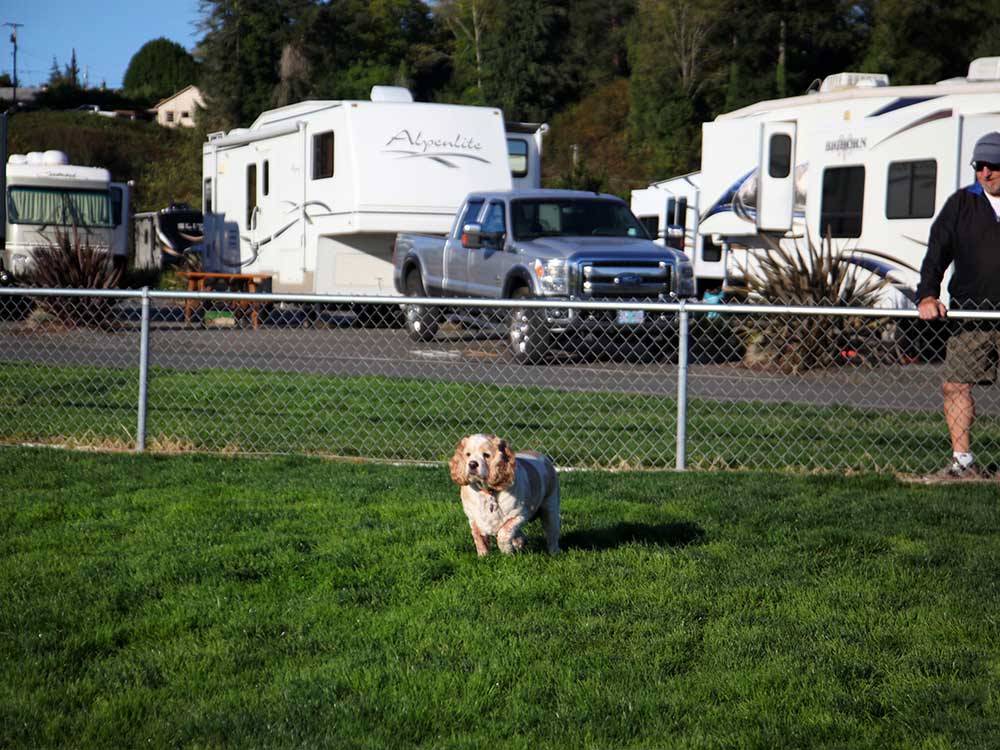 Dog exercise area at THE MILL CASINO HOTEL & RV PARK
