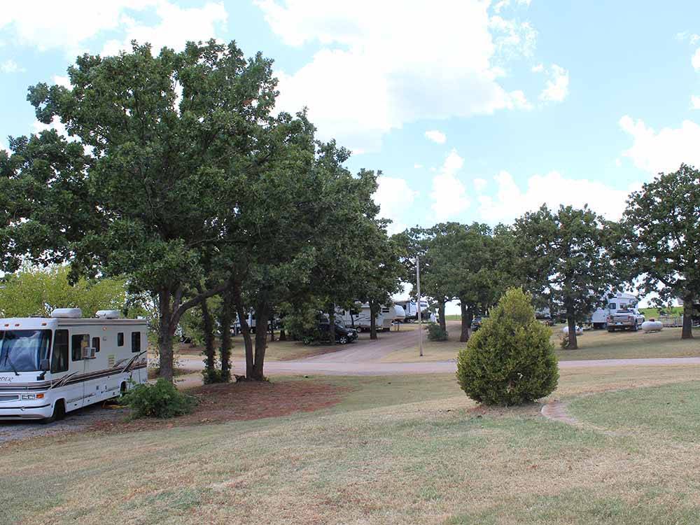 A line of trees next to an RV site at OAK GLEN RV PARK