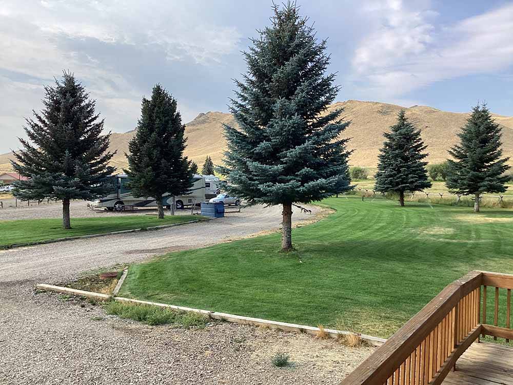 A group of trees in a grassy area at CHALLIS GOLF COURSE RV PARK