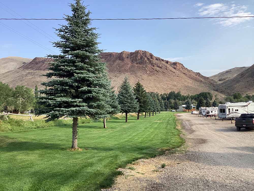 A long row of trees across from the RV sites at CHALLIS GOLF COURSE RV PARK