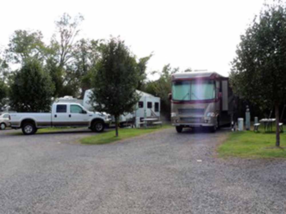 Motorhomes in campsites at IVYS COVE RV RETREAT
