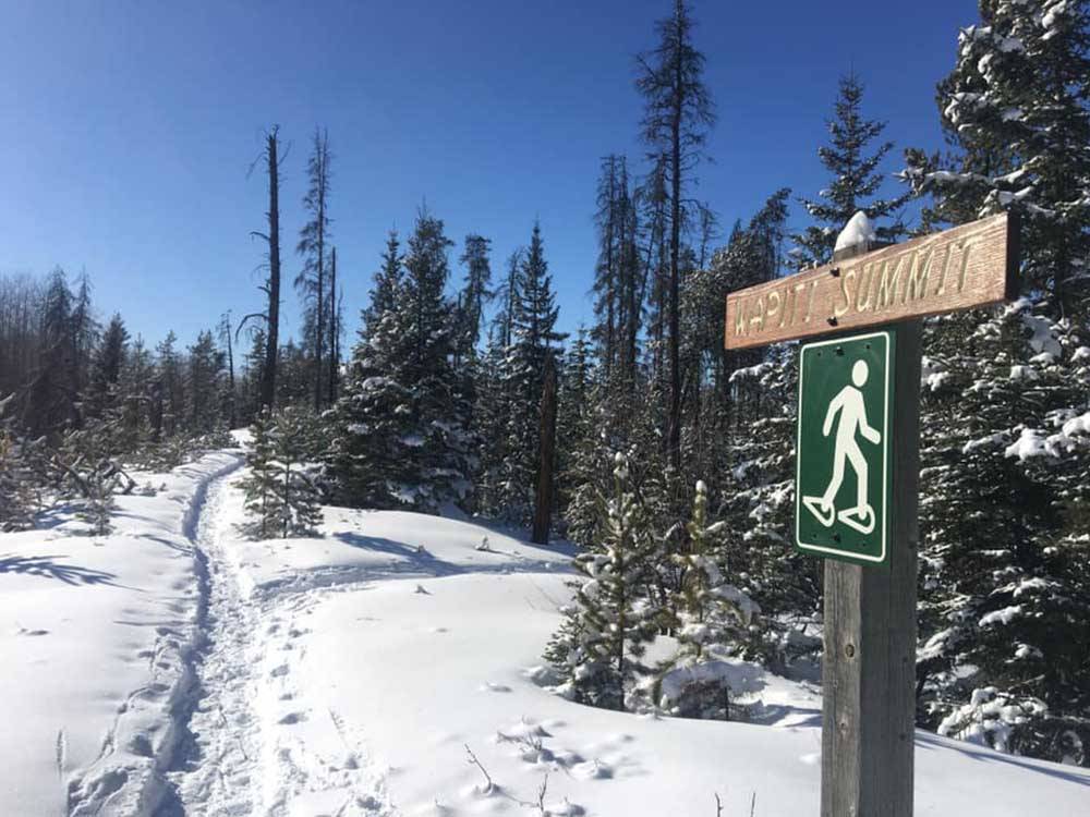 A snowshoe trail leads into a winter forest at GRANDE PRAIRIE REGIONAL TOURISM ASSOCIATION