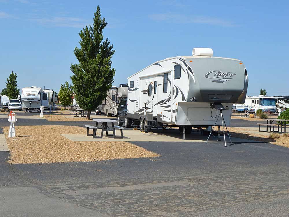 Trailers camping at OASIS RV RESORT