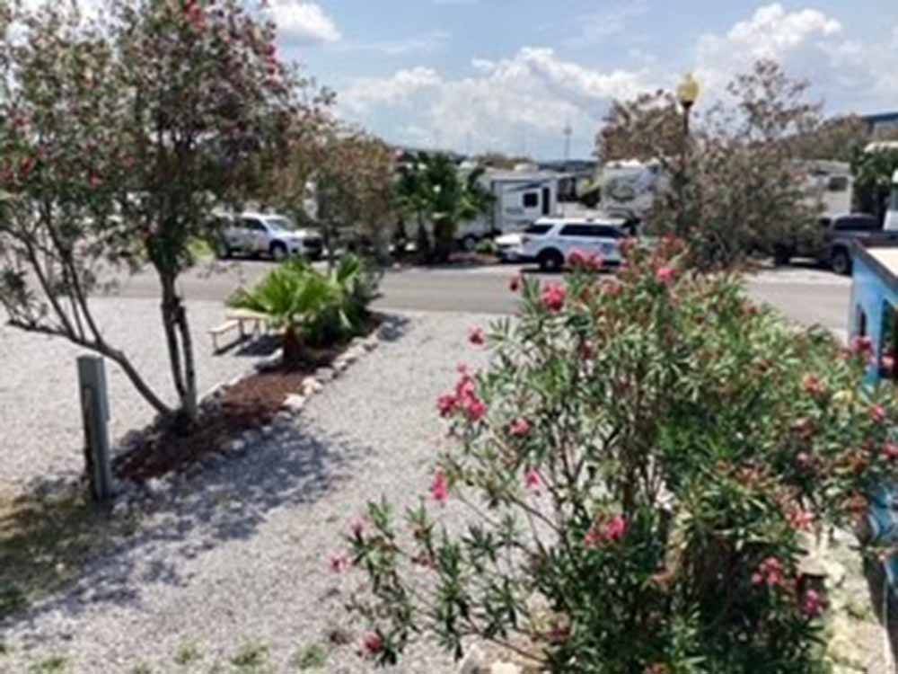 A flower bush next to a RV site at NEW ORLEANS RESORT AND MARINA