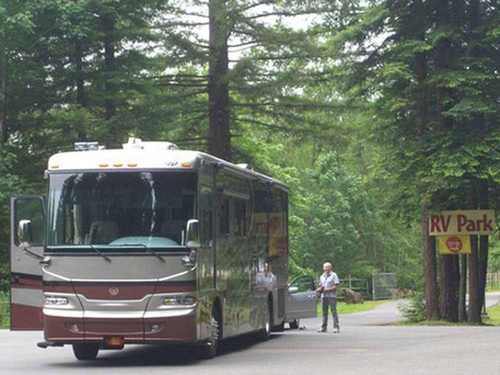 RV parked at campsite at ANCIENT REDWOODS RV PARK