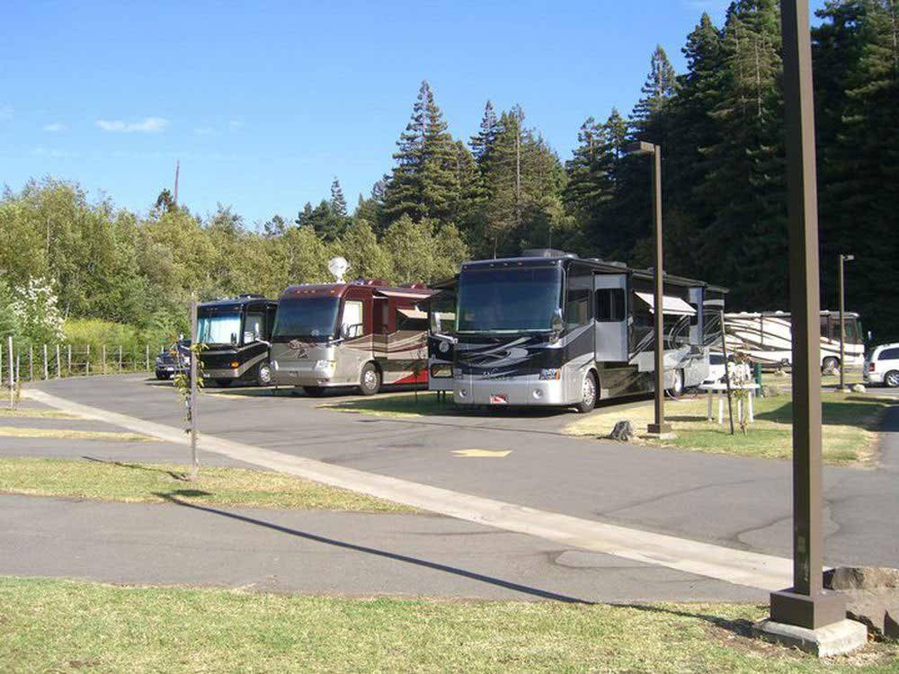 RVs parked in a row at ANCIENT REDWOODS RV PARK