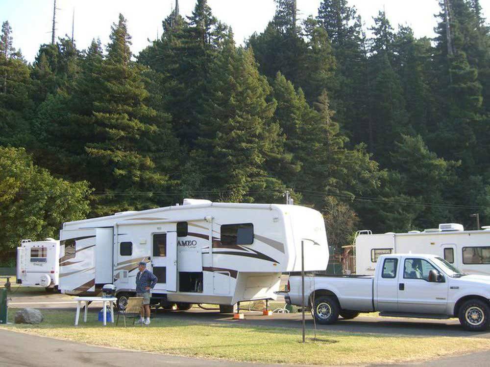 Trailers camping at ANCIENT REDWOODS RV PARK