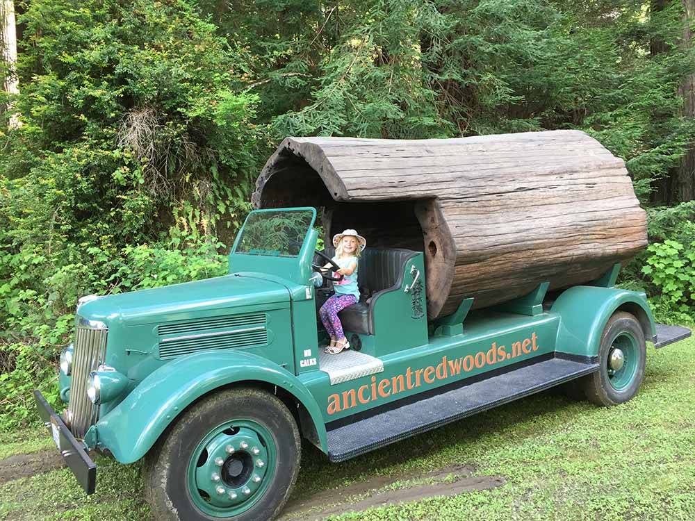 A small girl driving a truck at ANCIENT REDWOODS RV PARK