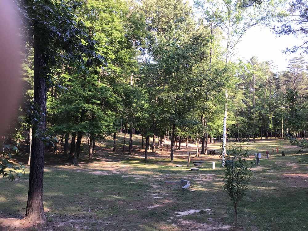 A group of grassy RV sites at R & D FAMILY CAMPGROUND