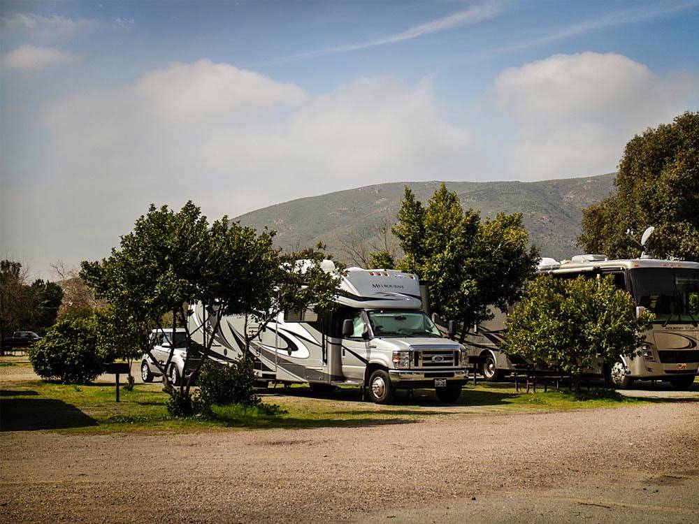 RVs parked at THOUSAND TRAILS PIO PICO