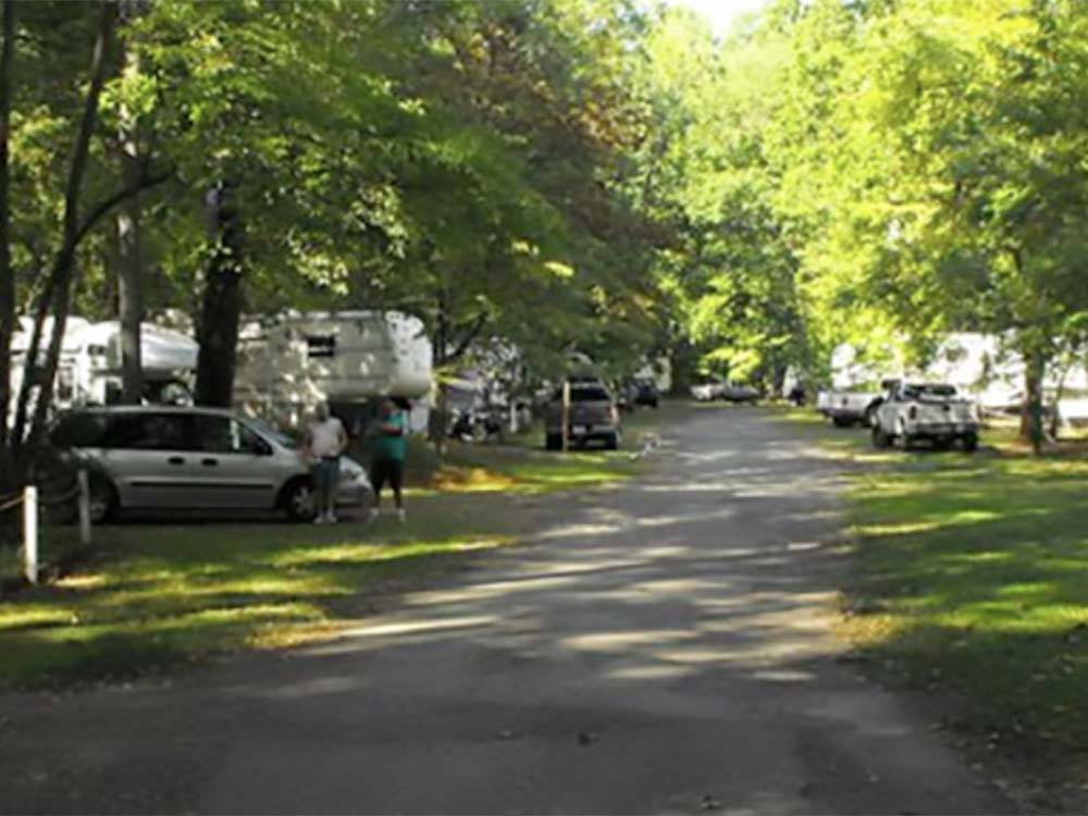 Campground road flanked by spaces and lush green trees at MADISON VINES RV RESORT & COTTAGES