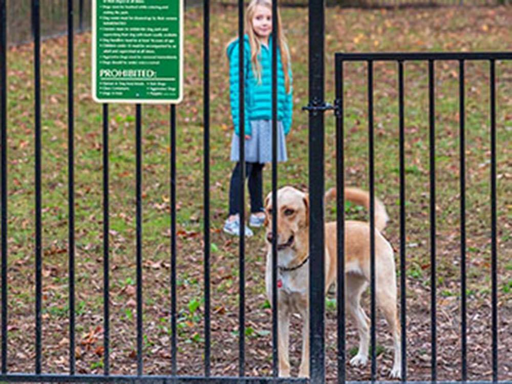 A tan dog and girl inside a dog park at MADISON VINES RV RESORT & COTTAGES