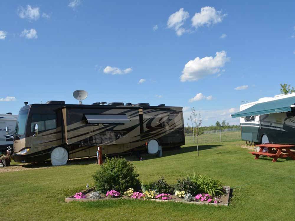 RVs in grassy area and flower bed at ST. ALBERT RV PARK