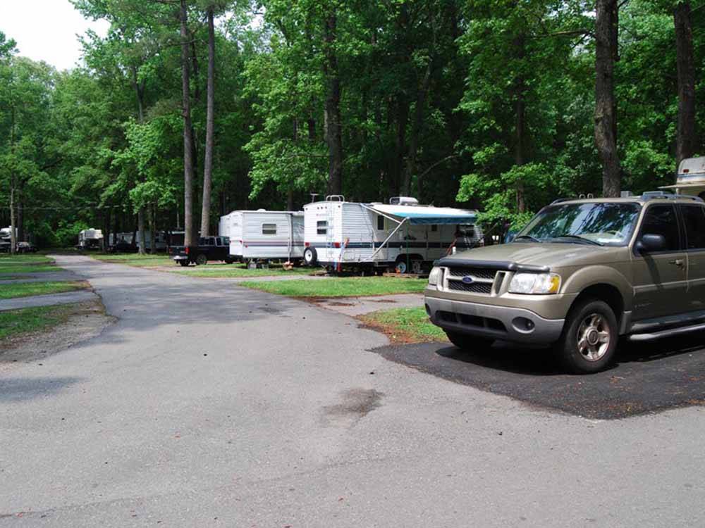 A row of RVs under trees at CHESAPEAKE CAMPGROUND