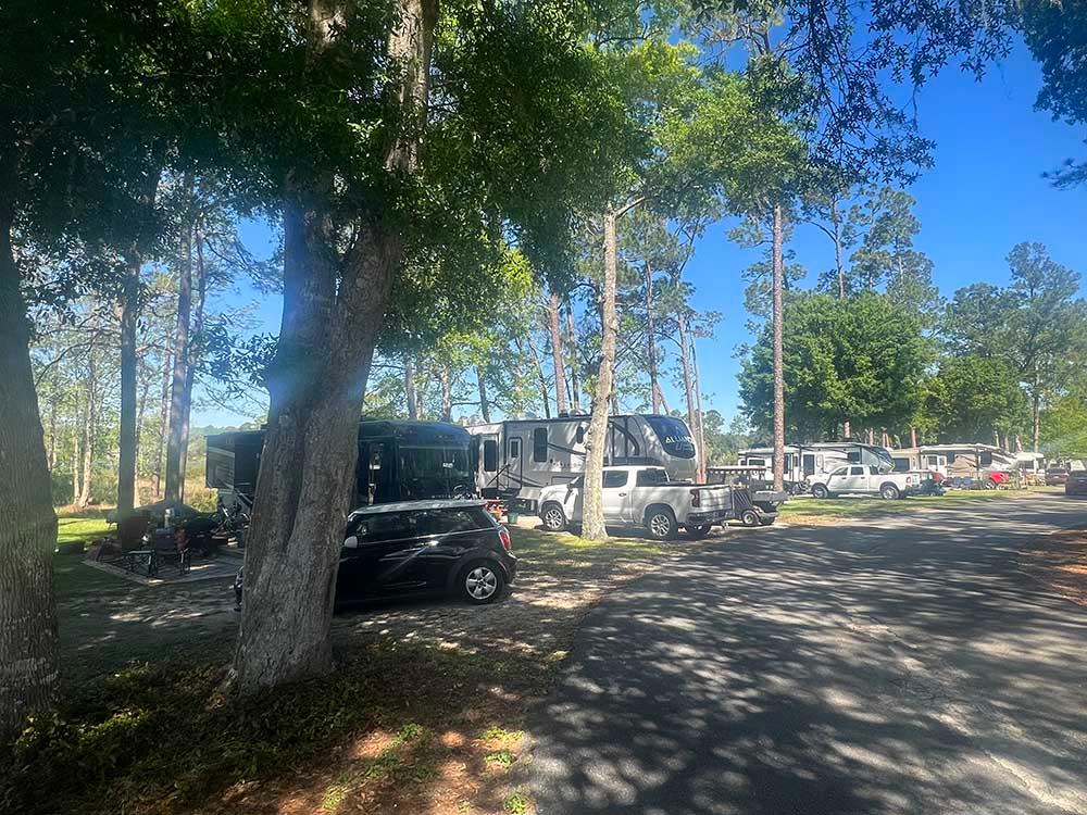 Motorhomes and trailers parked in shady sites at LAKE WALDENA RESORT