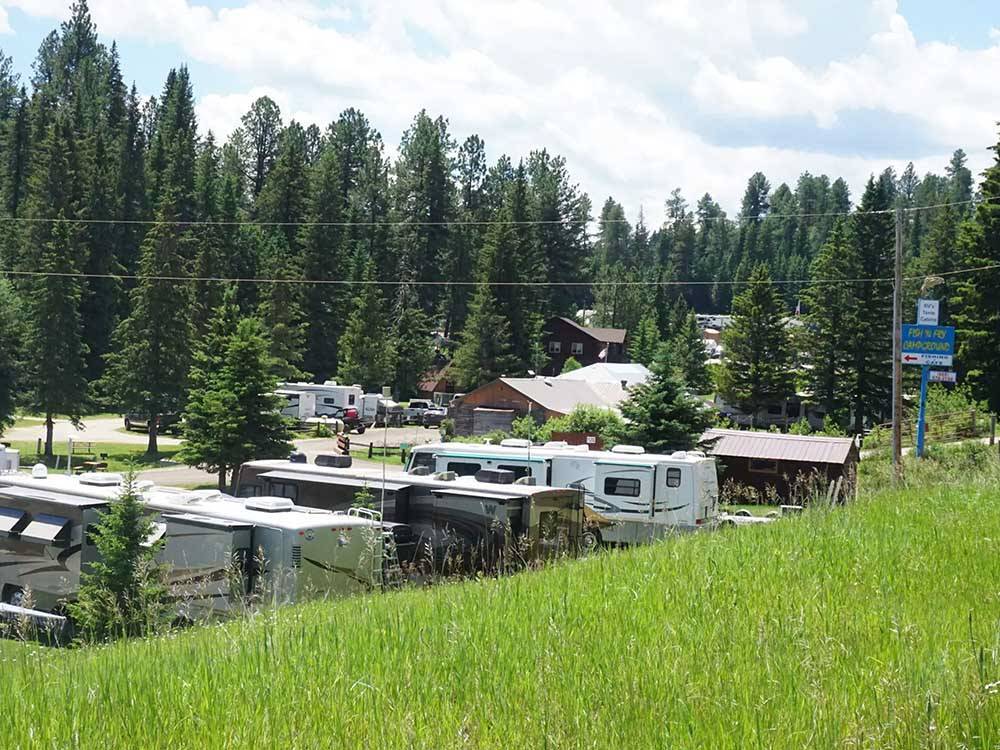 View of RV park and tall firs from grassy ridge at FISH'N FRY CAMPGROUND & RV PARK