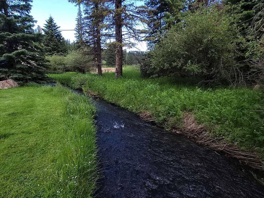 Narrow creek rushes through a grassy meadow at FISH'N FRY CAMPGROUND & RV PARK