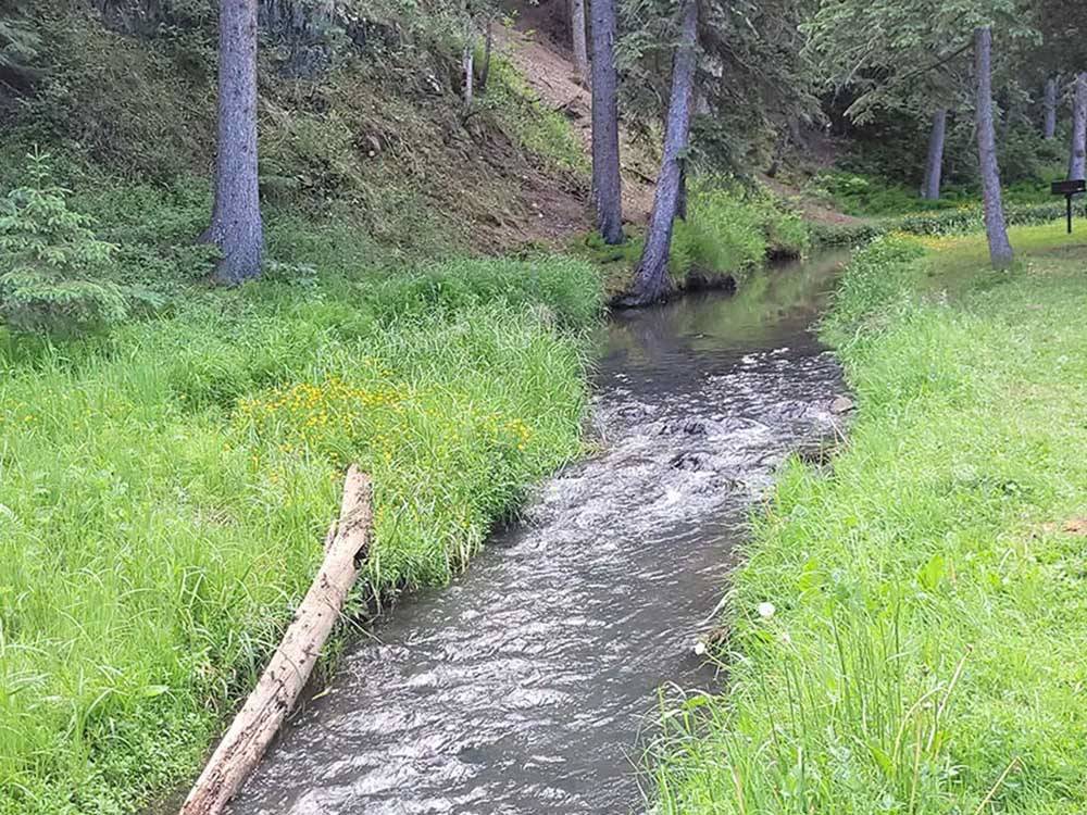 Stream rolls along the bottom of a slope at FISH'N FRY CAMPGROUND & RV PARK
