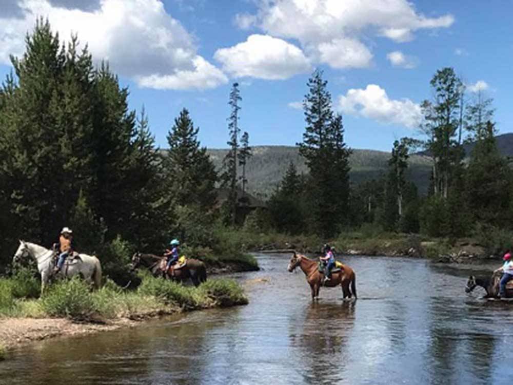 A group of horses riding thru a river at WINDING RIVER RESORT