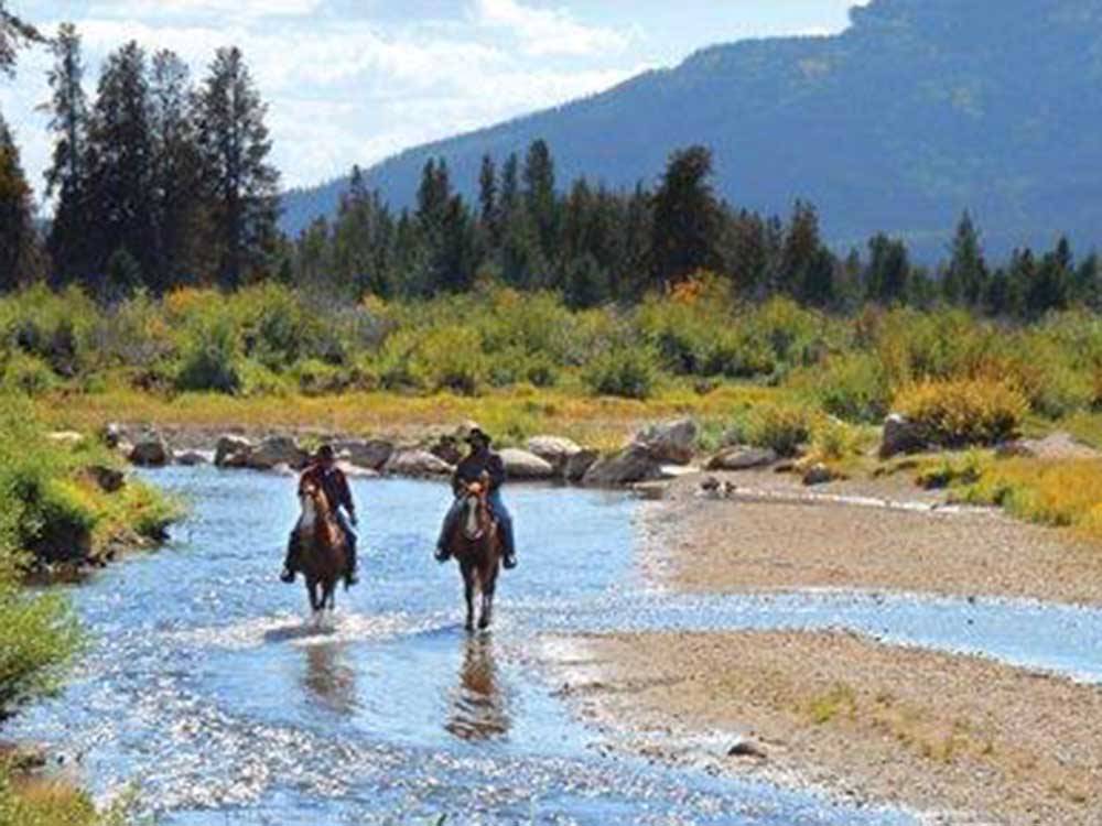 Two horses riding thru a shallow river at WINDING RIVER RESORT