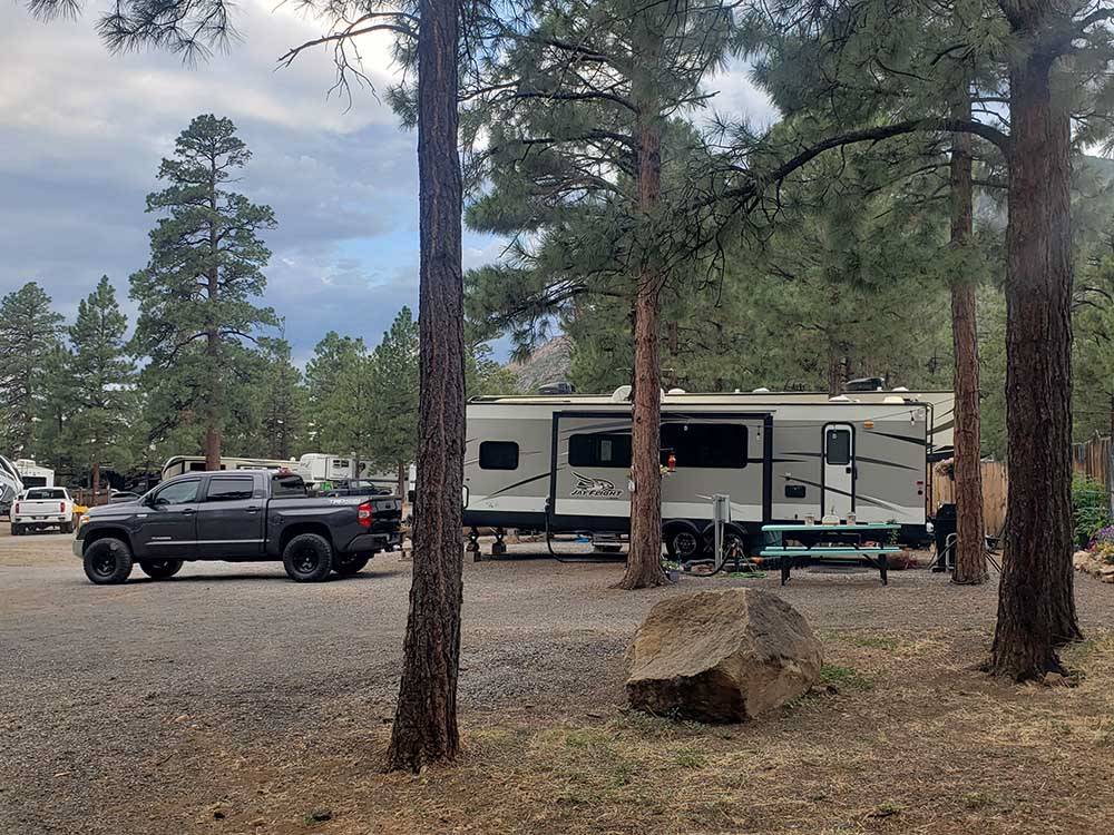 A row of dirt RV sites under trees at FLAGSTAFF RV PARK