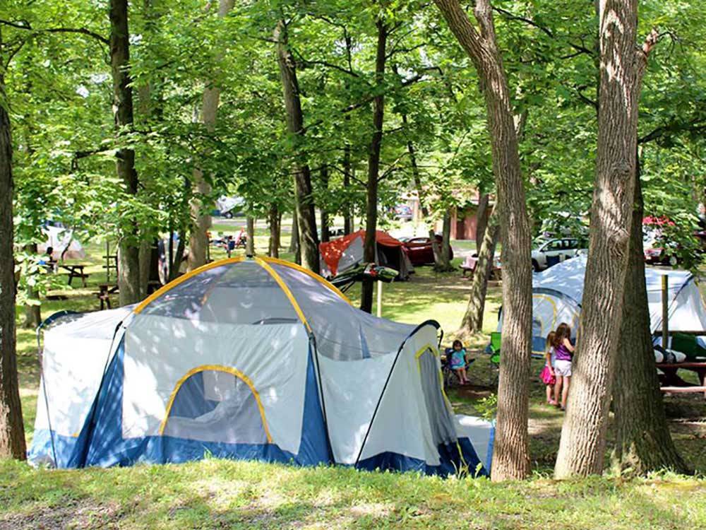 Tents camping at YOGI BEAR'S JELLYSTONE PARK CAMP-RESORT