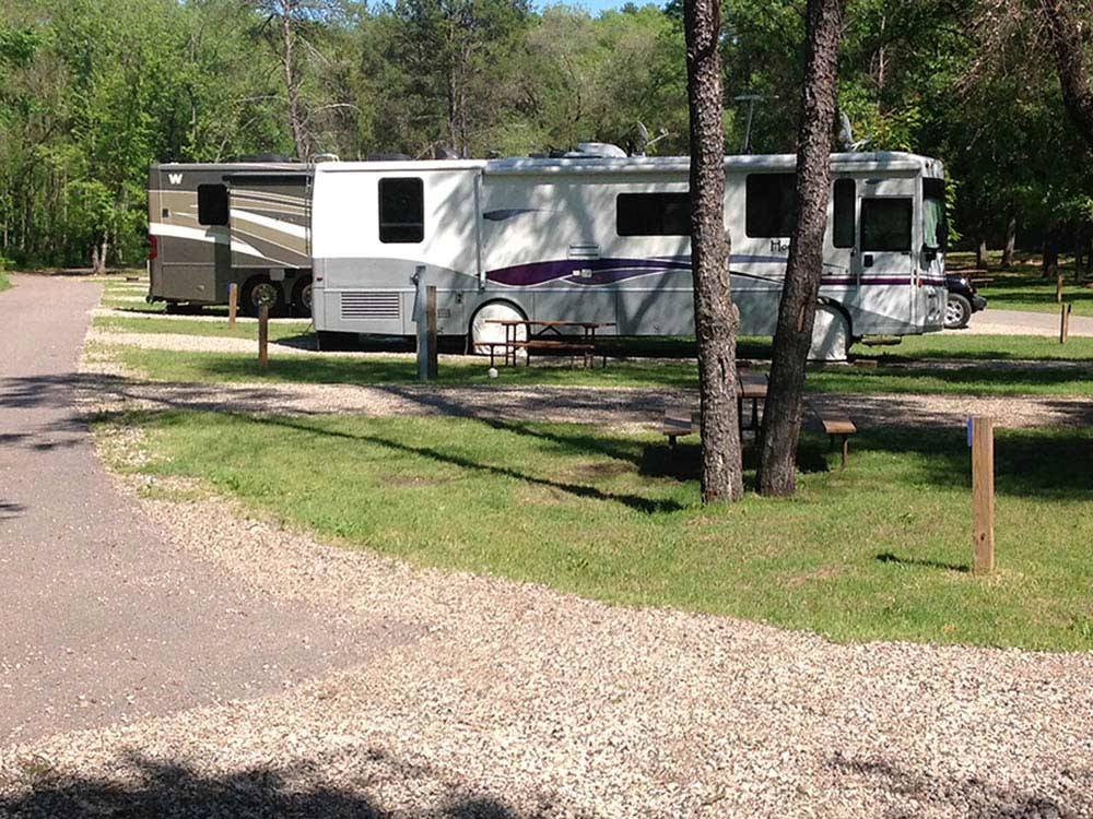 Large motorhomes parked on gravel sites among the trees at SHERWOOD FOREST CAMPING & RV PARK