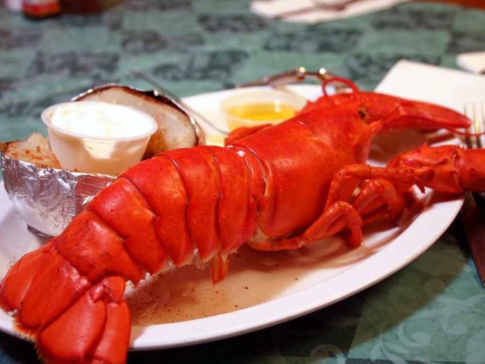 A cooked lobster on a plate at SEA-VU CAMPGROUND