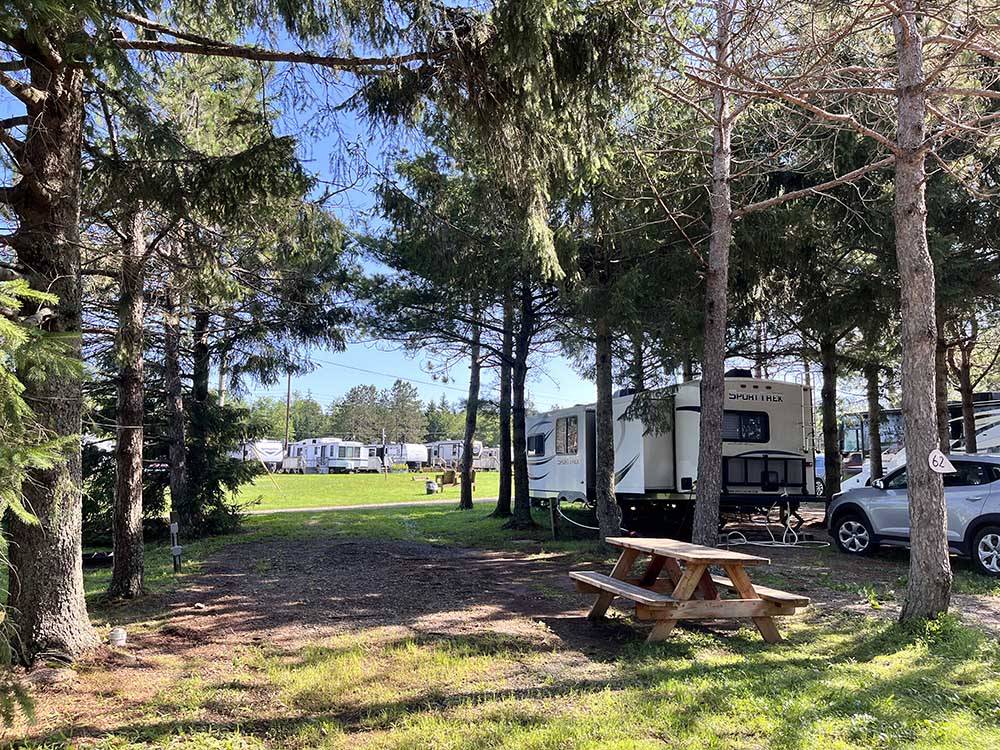 A picnic bench at an empty RV site at SCOTIA PINE CAMPGROUND