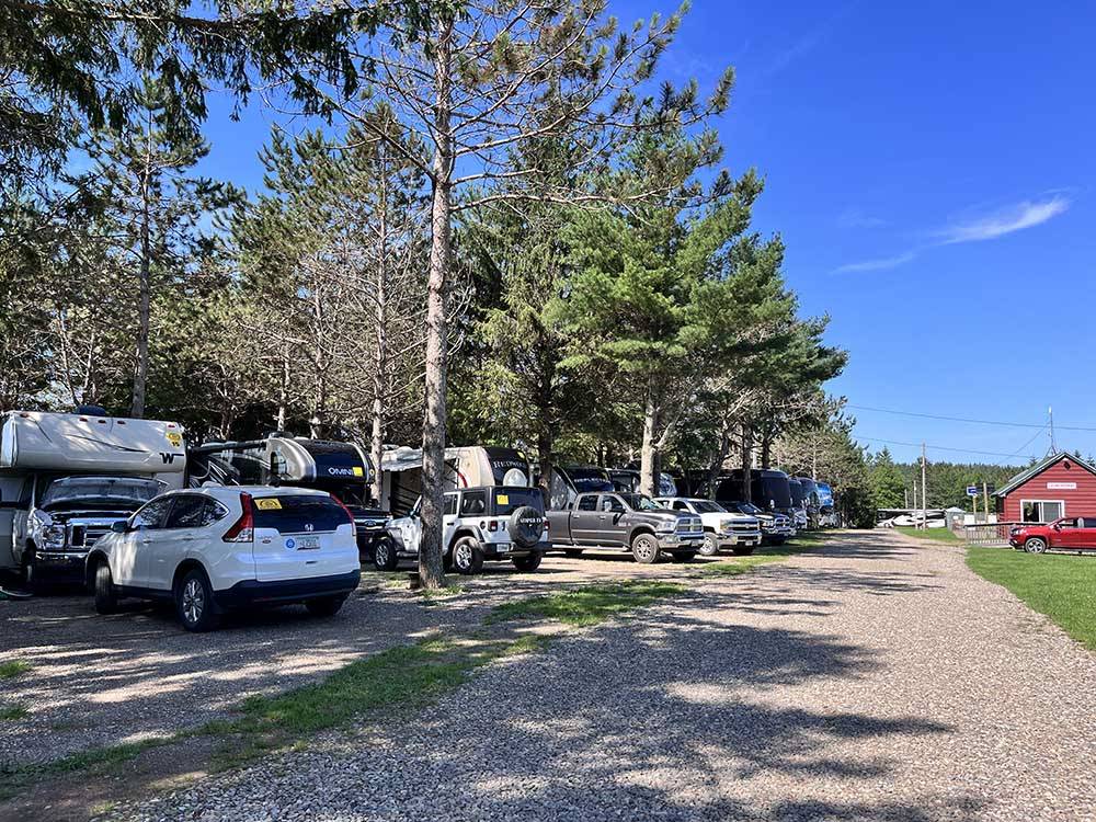 A row of travel trailers and motorhomes at SCOTIA PINE CAMPGROUND