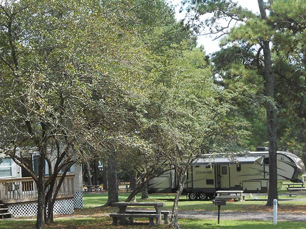 An empty RV site with a picnic table at ALLATOONA LANDING MARINE RESORT