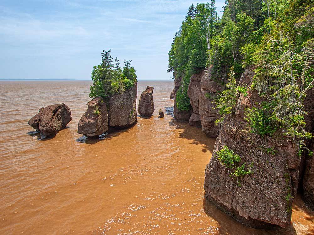 A view of Hopewell Rocks nearby at PONDEROSA PINES CAMPGROUND
