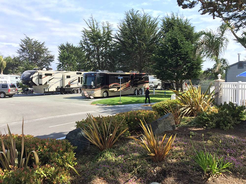 RVs and trailers at campground at PISMO COAST VILLAGE RV RESORT