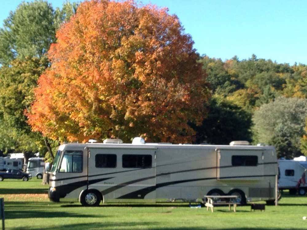 RVs and trailers at campground at LONE PINE CAMPSITES