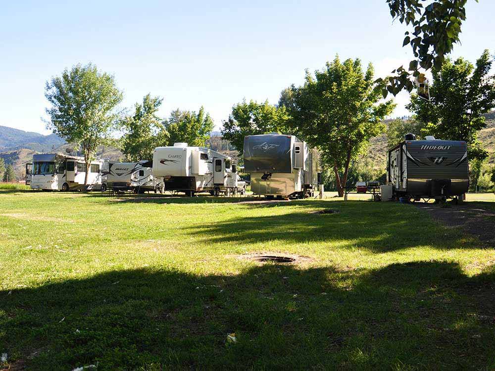 A row of RVs in sites with trees at RIVERBEND RV PARK OF TWISP
