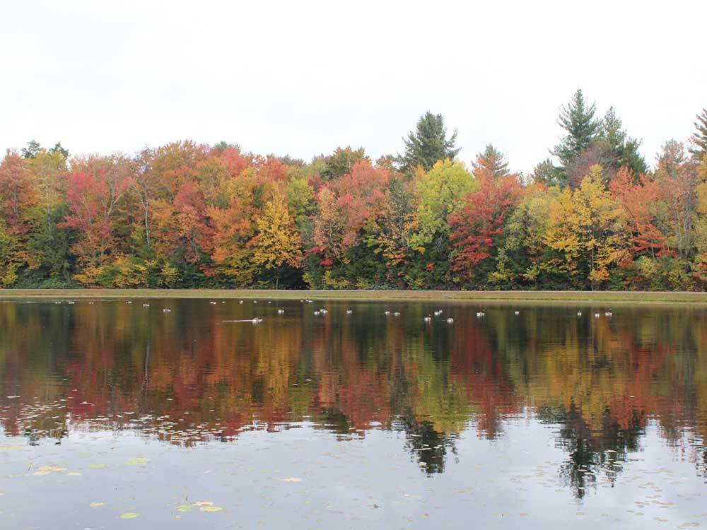 A view of the lake and autumn trees at JELLYSTONE PARK ™ AT BIRCHWOOD ACRES