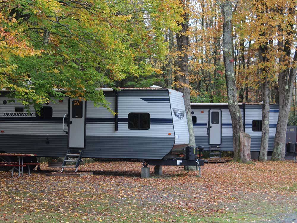 Two travel trailers parked under trees at JELLYSTONE PARK ™ AT BIRCHWOOD ACRES