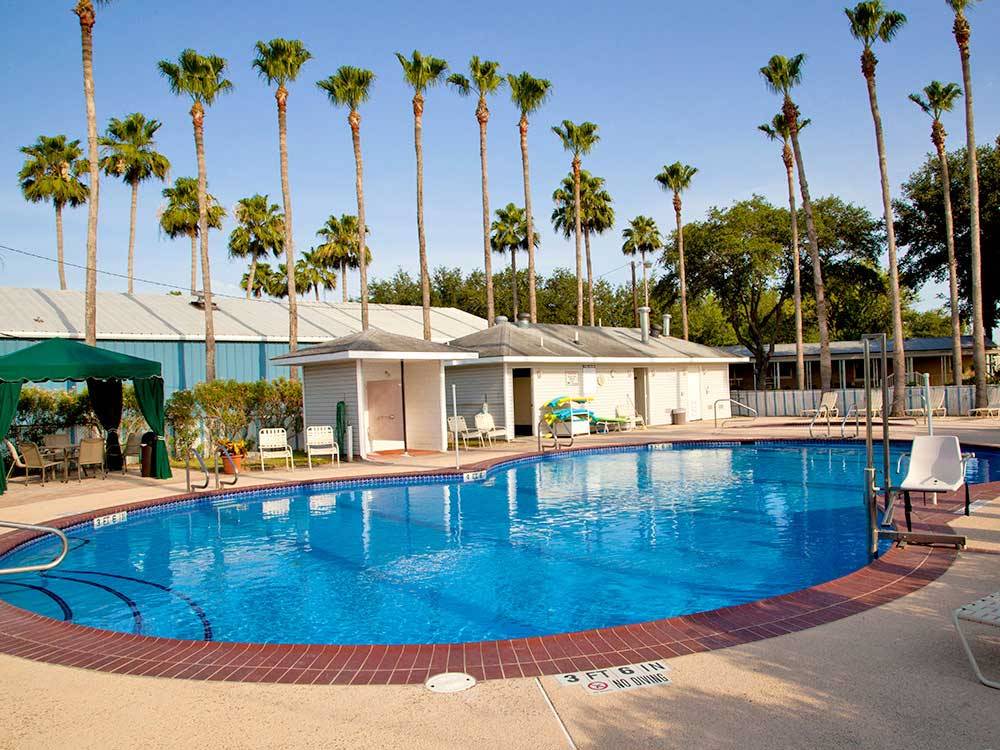 Blue swimming pool with palm trees at ENCORE ALAMO PALMS