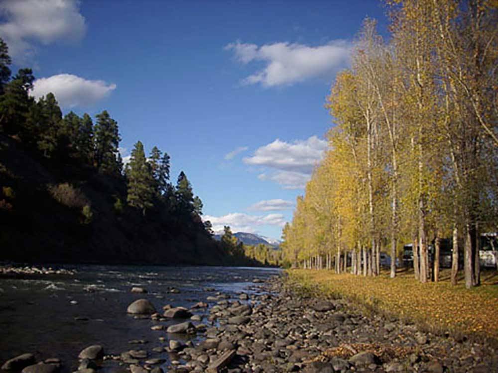 Stream with trees on both sides at PAGOSA RIVERSIDE CAMPGROUND