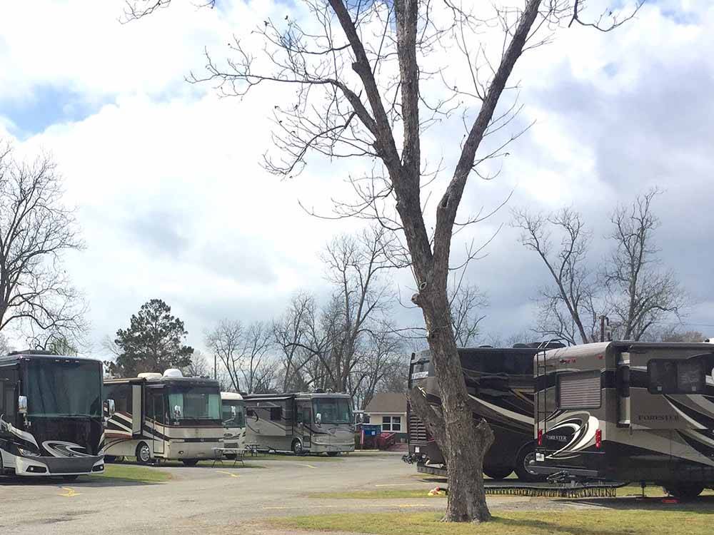 A row of gravel RV sites at CROSSROADS TRAVEL PARK