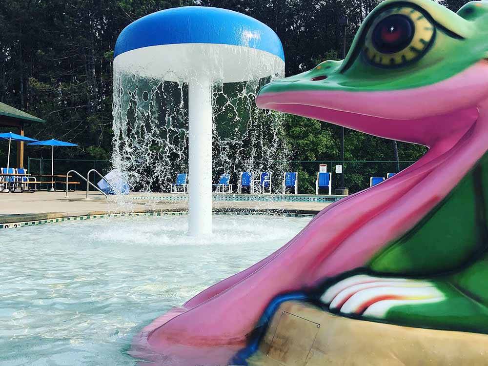 A water slide in the shape of a frogs tongue at STONEY CREEK RV RESORT