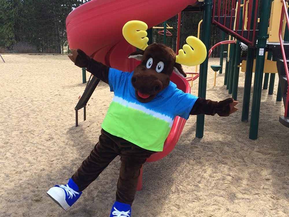 The mascot moose going down a slide at STONEY CREEK RV RESORT