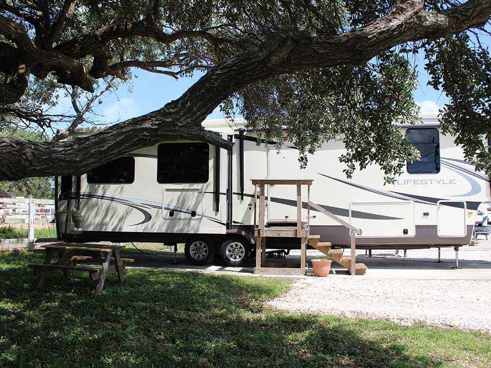 Trailer camping at PADRE PALMS RV PARK