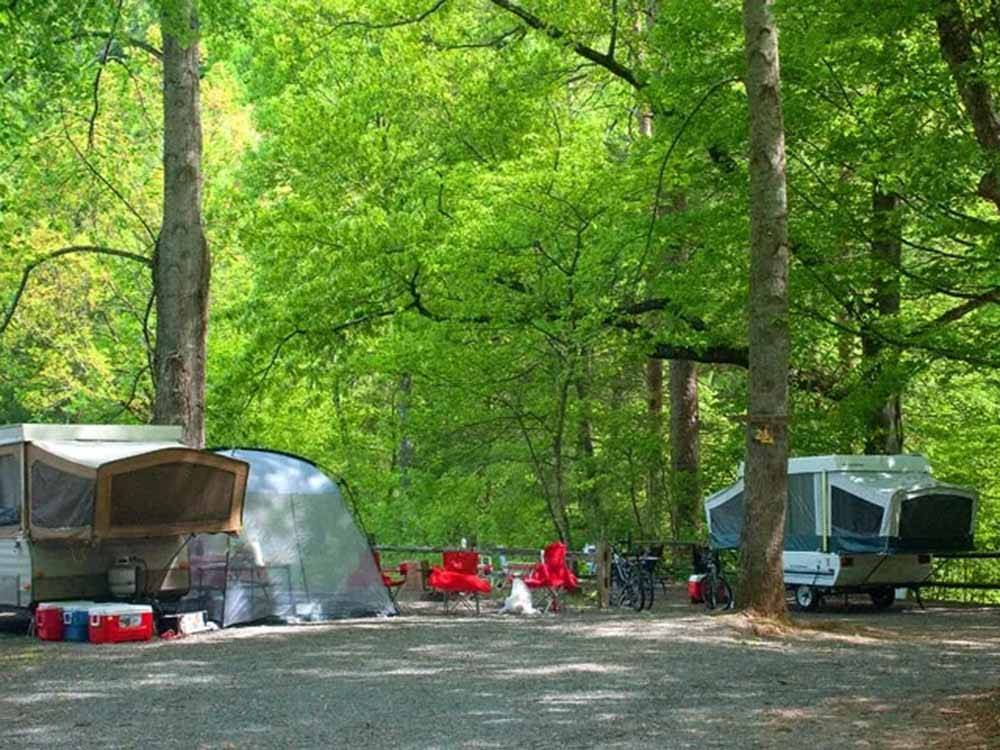 Pop up campers in campsites at MOUNTAINEER CAMPGROUND