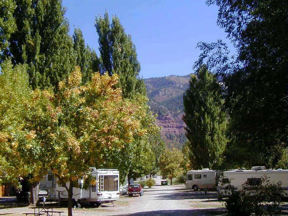 Looking down the road at tree lined RV sites at ALPEN ROSE RV PARK