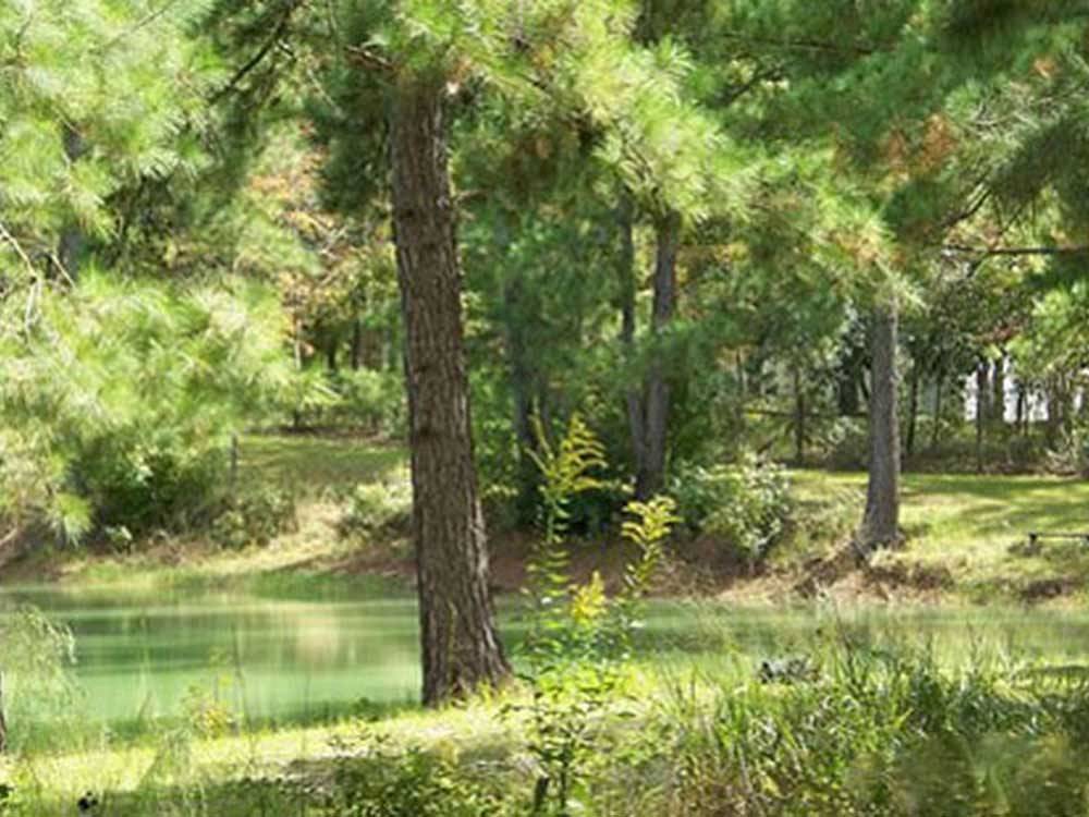 Lake view at TALLAHASSEE EAST CAMPGROUND