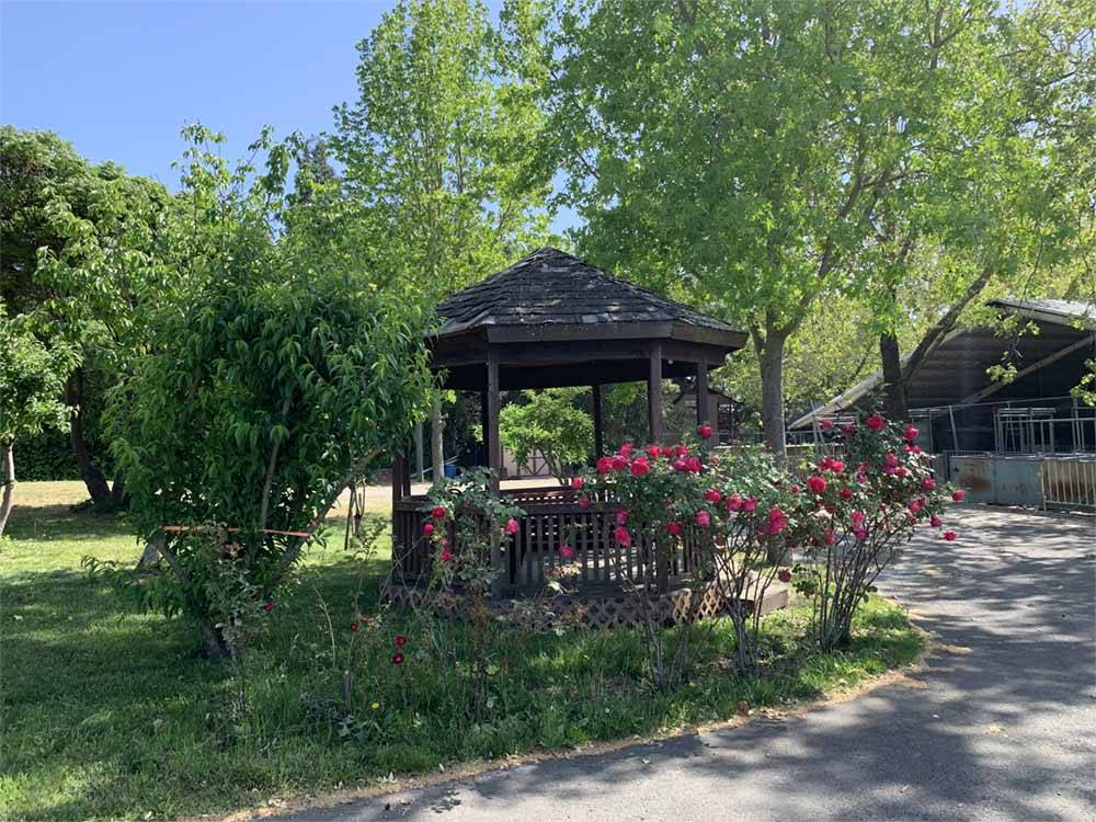 A gazebo with rose bushes at NAPA VALLEY EXPO RV PARK